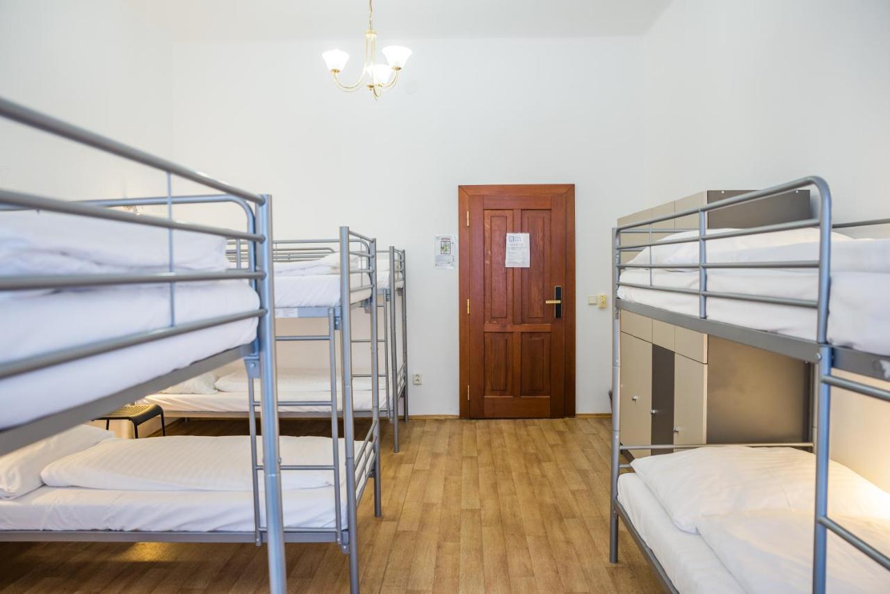 Bunk Bed in Mixed Dormitory Room,1381660562:JPEG